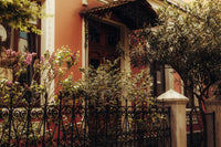 decorative wrought iron fence