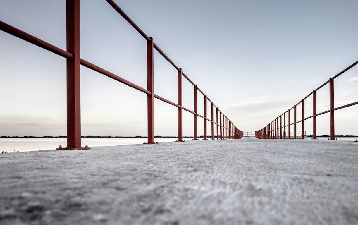 Outdoor Walkway Railing Ideas: 15 Best Designs for 2026 – SI Handrails