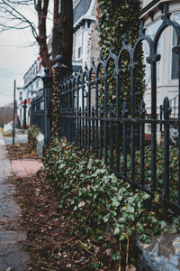 wrougt iron fence