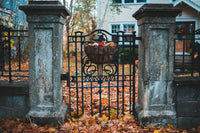 Wrought Iron Gate