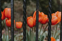 15 Black Railing Ideas for Modern Homes (2026)